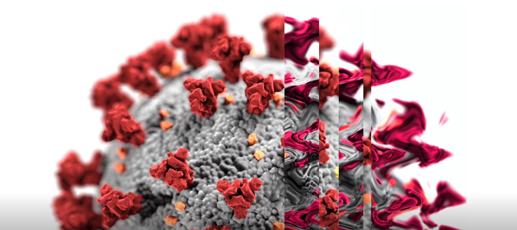 An illustration showing COVID-19 mutations and variants