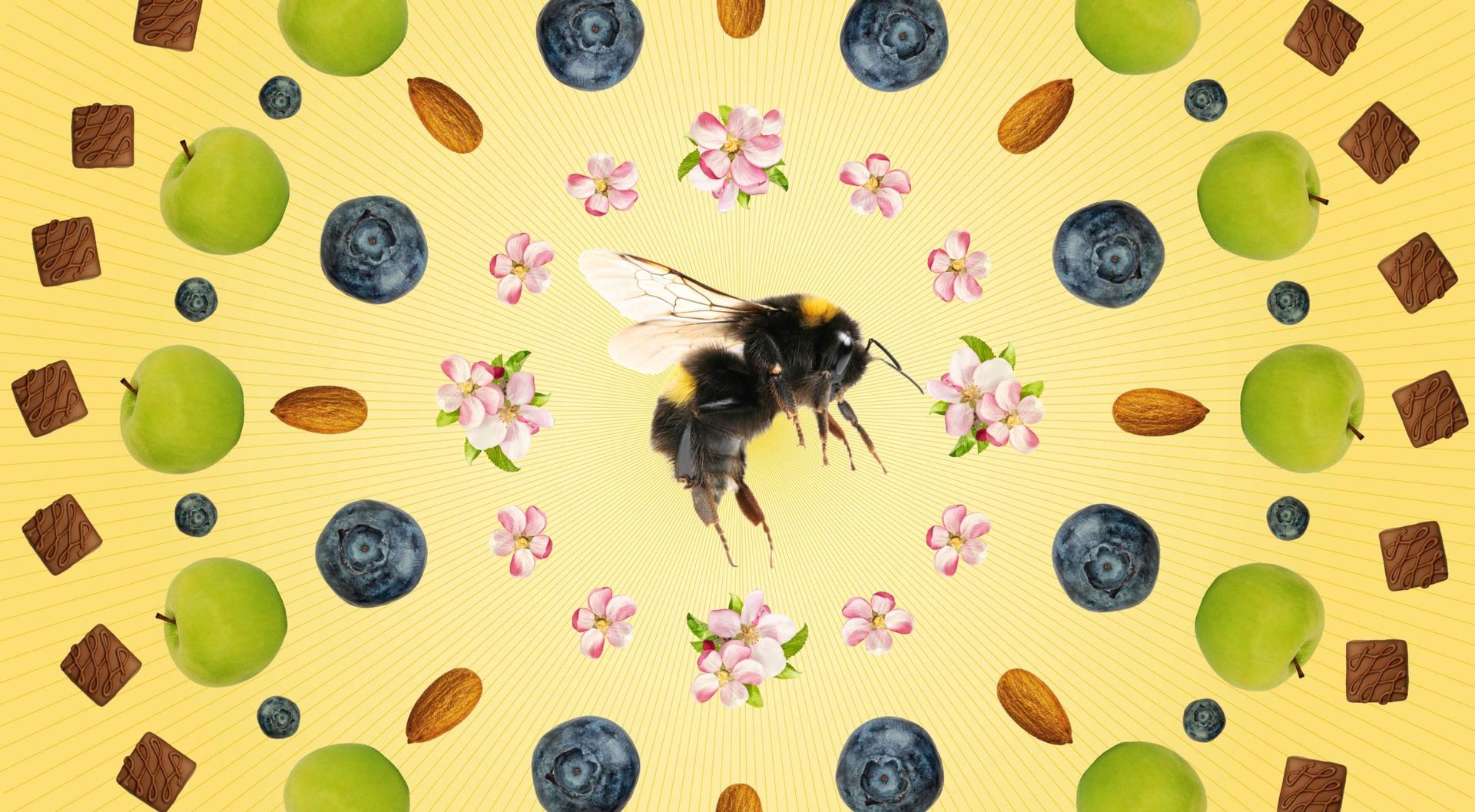 An illustration showing how insect biodiversity affects the foods we eat