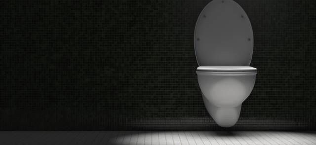 Canadian glow-in-the-dark toilet seats to light the way