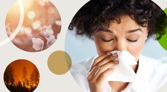 A collection of images depicting what effects affect air quality