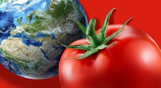A digitally edited image juxtaposing a ripe tomato against a detailed globe representing earth, emphasizing contrast and scale, set against a vibrant red background.