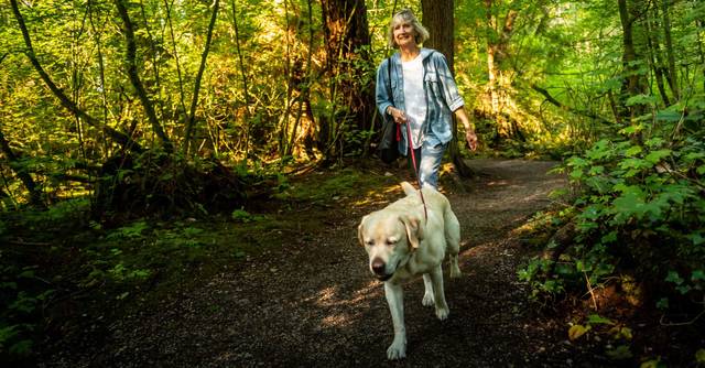 An active, older adult walks her dog in the park