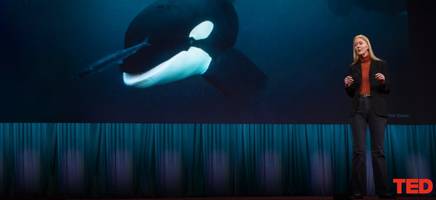 A photo of Professor Karen Bakker on the TED stage with an orca on the LCD screen behind her.