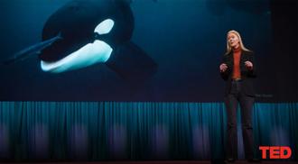 A photo of Professor Karen Bakker on the TED stage with an orca on the LCD screen behind her.