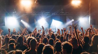 Cheering crowd at a rock concert