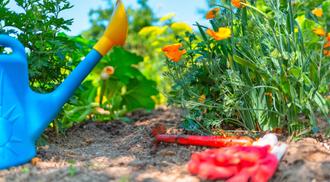 On the ground lies a watering can, a hoe and gloves.