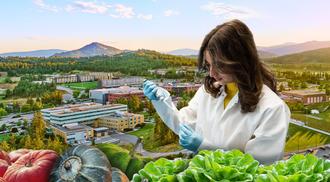 A scientist in a lab coat examines a plant sample outdoors, with a backdrop of a lush university campus and mountains at sunset. fresh vegetables are visible in the foreground.