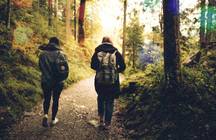 Two people going for a socially distanced walk in a forest