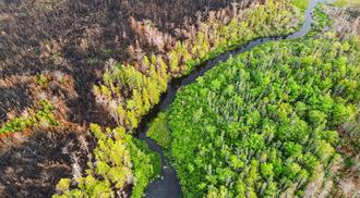 Aerial view a wetland stillwater surrounded by wildfire damage.