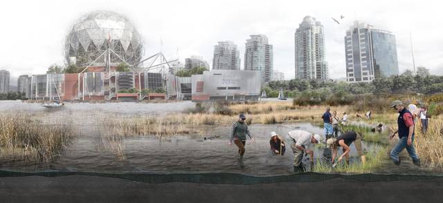 Speculative rendering of False Creek in 2050, illustrating the incorporation of nature-based solutions through the restoration of wetlands and coastal ecosystems. It shows a higher sea level that is mitigated by the planting and caretaking of coastal wetlands.